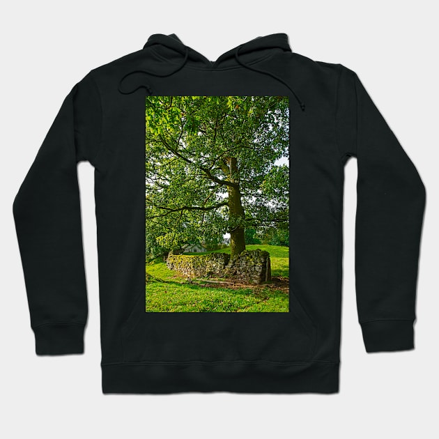 Tree with Dry Stone Wall Hoodie by BrianPShaw